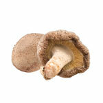 BIO pulveris Šitake